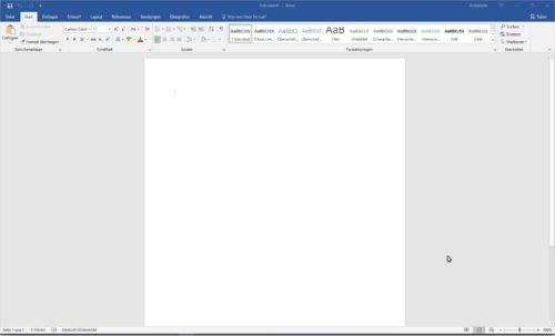 Microsoft Office 2021 Professional Plus Word
